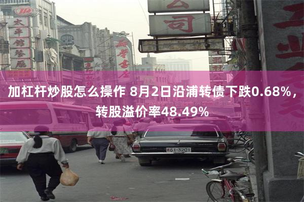 加杠杆炒股怎么操作 8月2日沿浦转债下跌0.68%，转股溢价率48.49%