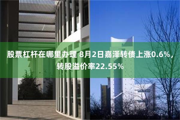 股票杠杆在哪里办理 8月2日嘉泽转债上涨0.6%，转股溢价率22.55%