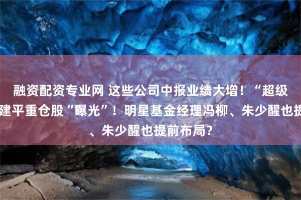 融资配资专业网 这些公司中报业绩大增！“超级牛散”赵建平重仓股“曝光”！明星基金经理冯柳、朱少醒也提前布局？