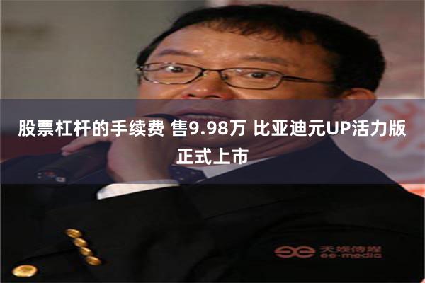 股票杠杆的手续费 售9.98万 比亚迪元UP活力版正式上市