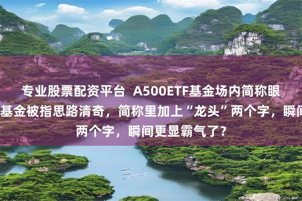 专业股票配资平台  A500ETF基金场内简称眼花缭乱：广发基金被指思路清奇，简称里加上“龙头”两个字，瞬间更显霸气了？