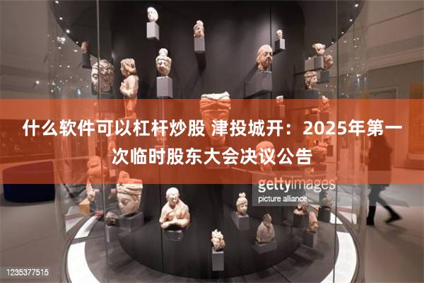 什么软件可以杠杆炒股 津投城开：2025年第一次临时股东大会决议公告