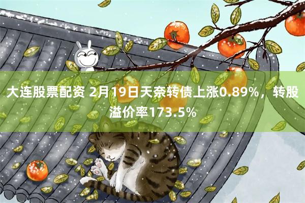 大连股票配资 2月19日天奈转债上涨0.89%，转股溢价率173.5%