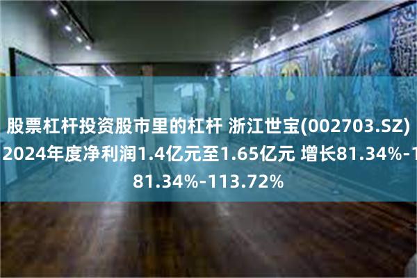 股票杠杆投资股市里的杠杆 浙江世宝(002703.SZ)发预增，2024年度净利润1.4亿元至1.65亿元 增长81.34%-113.72%