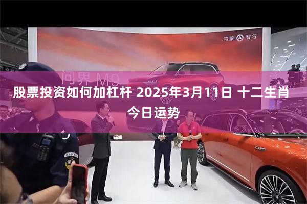 股票投资如何加杠杆 2025年3月11日 十二生肖 今日运势