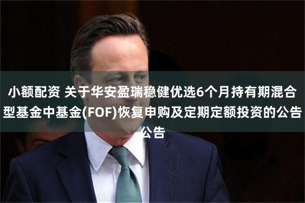 小额配资 关于华安盈瑞稳健优选6个月持有期混合型基金中基金(FOF)恢复申购及定期定额投资的公告